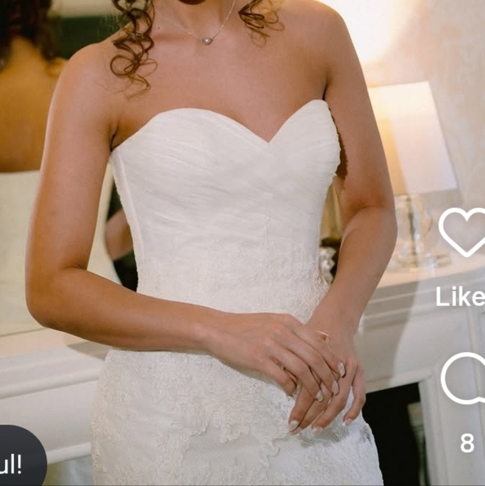 Elegant Lace Wedding Gown - Picture 9 of 9